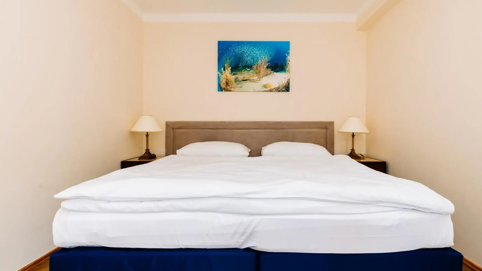 Apartments Tgm 11 Karlovy Vary